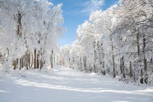 Pablo BAILLEUL - Bailleul